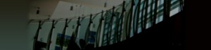 30 years banner