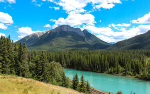 protecting canadian forests