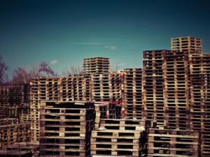 palletmngmt5pallets