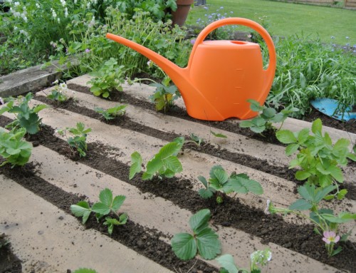 Upcycling Wooden Pallets for Do It Yourself Garden Projects